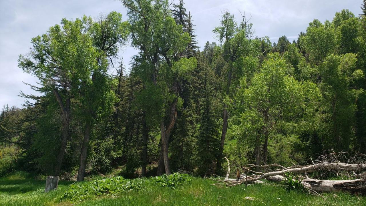San Juan Motel & Cabins Pagosa Springs Zewnętrze zdjęcie